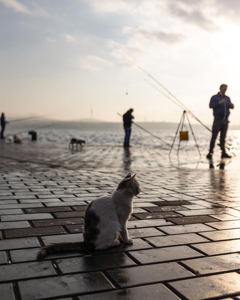 Photograph by Olga Smirnova