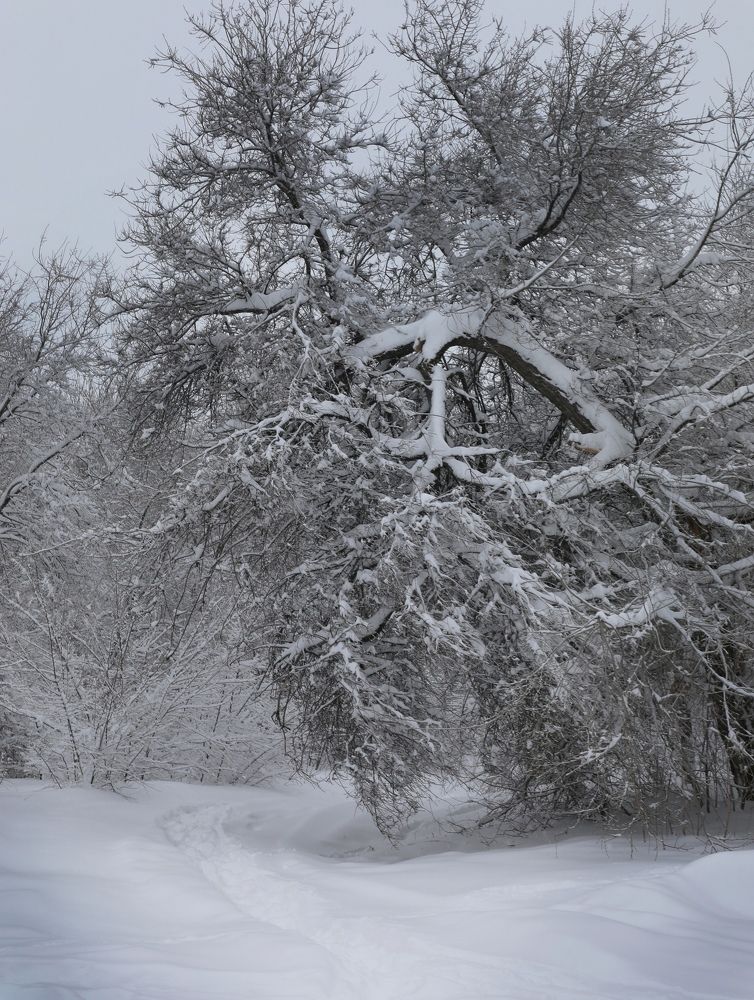 Photograph by Дарья Юсарева