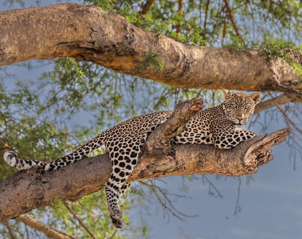 Photograph by Илья Поляк