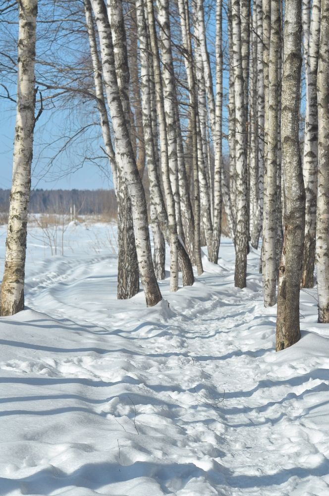 Photograph by Ольга Герасименко