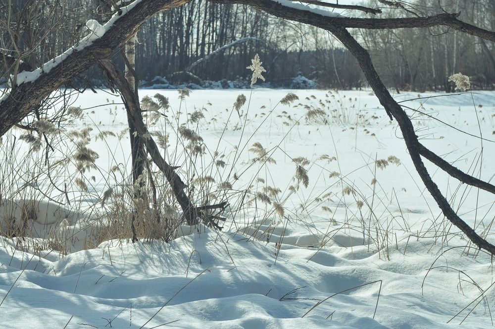 Photograph by Ольга Герасименко