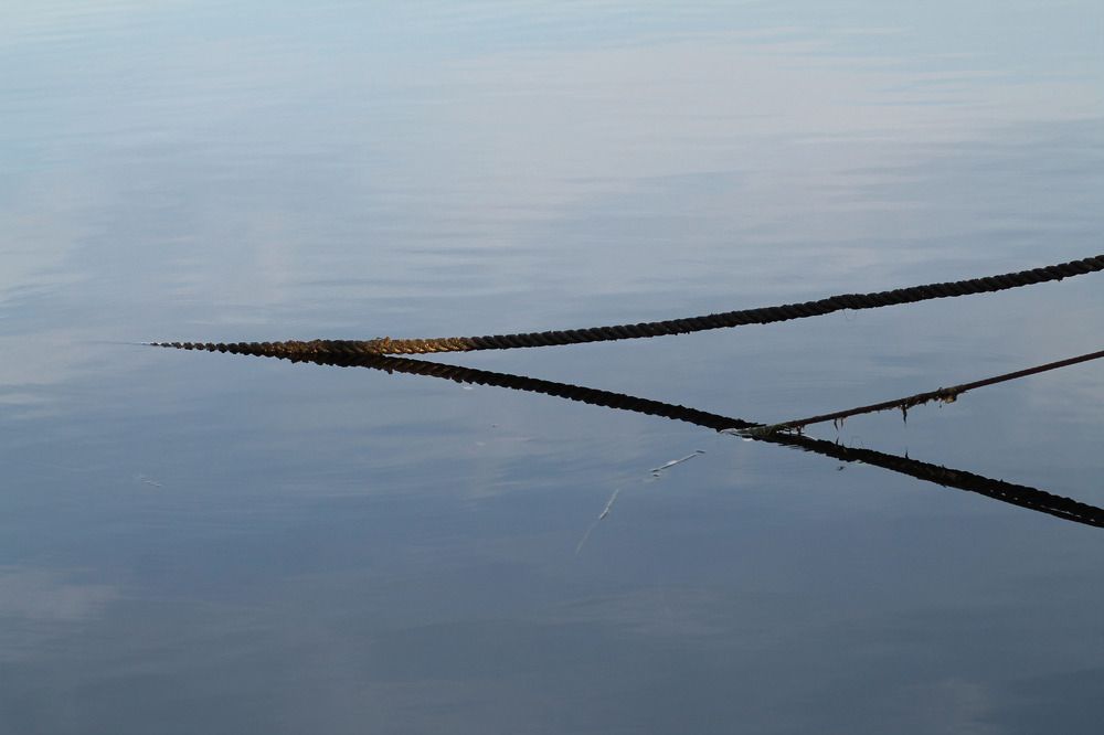 Photograph by Елена