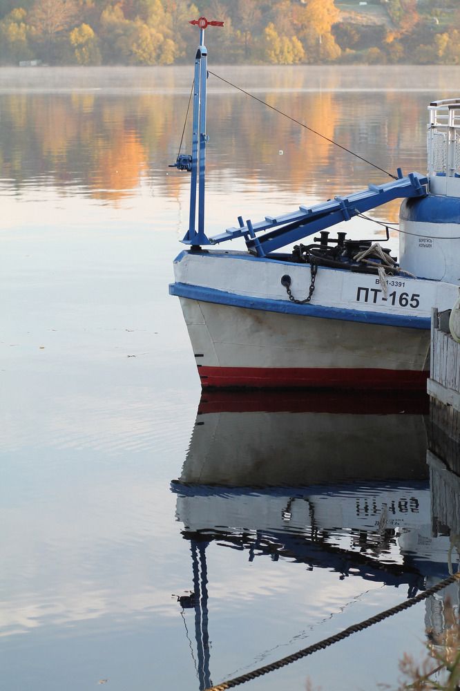 Photograph by Елена