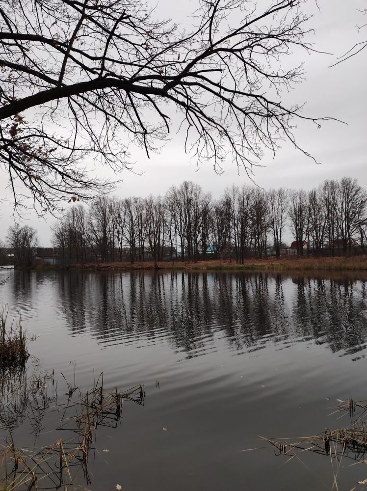 Photograph by Татьяна