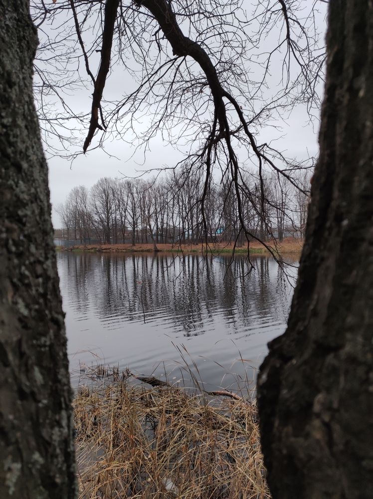 Photograph by Татьяна