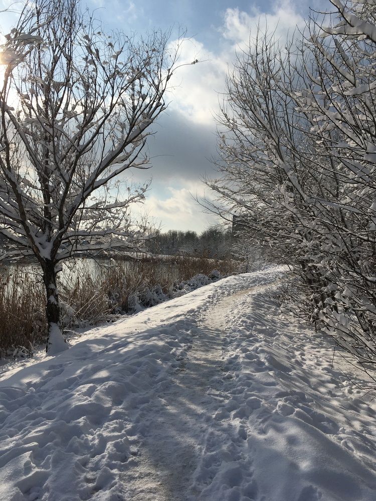 Фотография автора Ксения