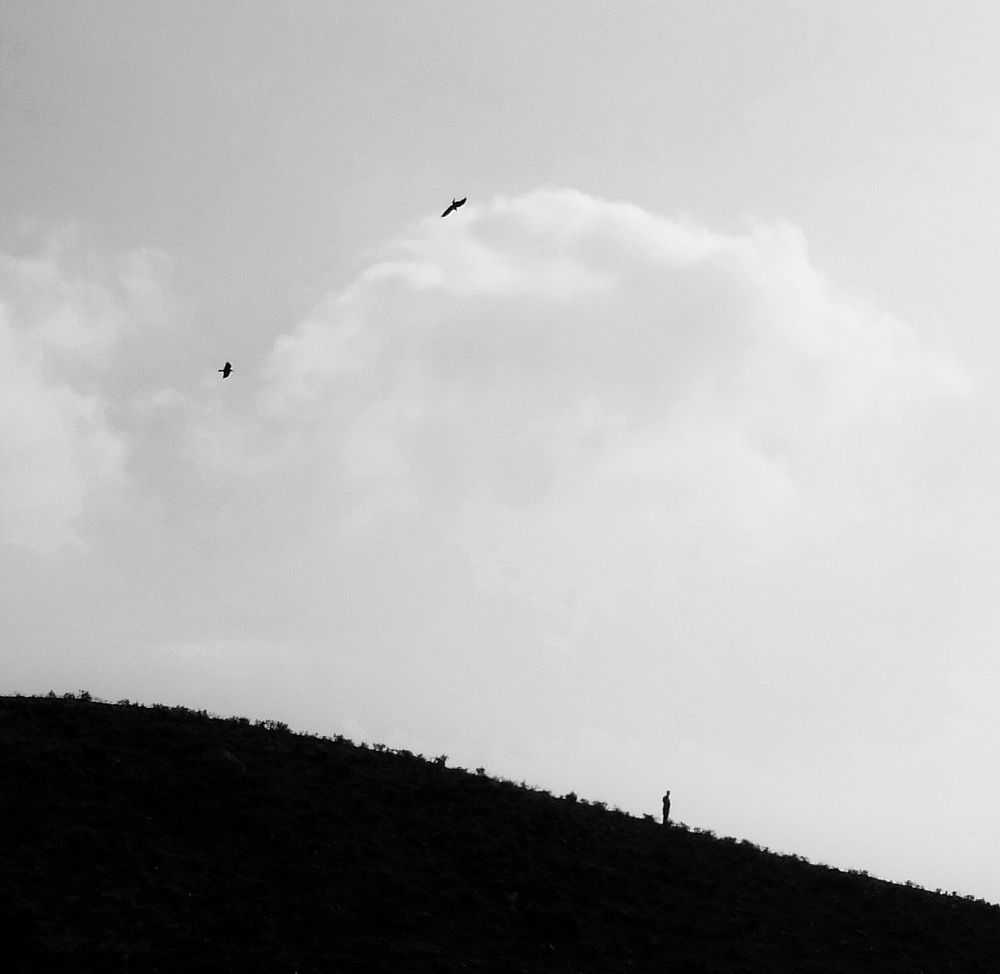 Photograph by Mohsen Mahdavi