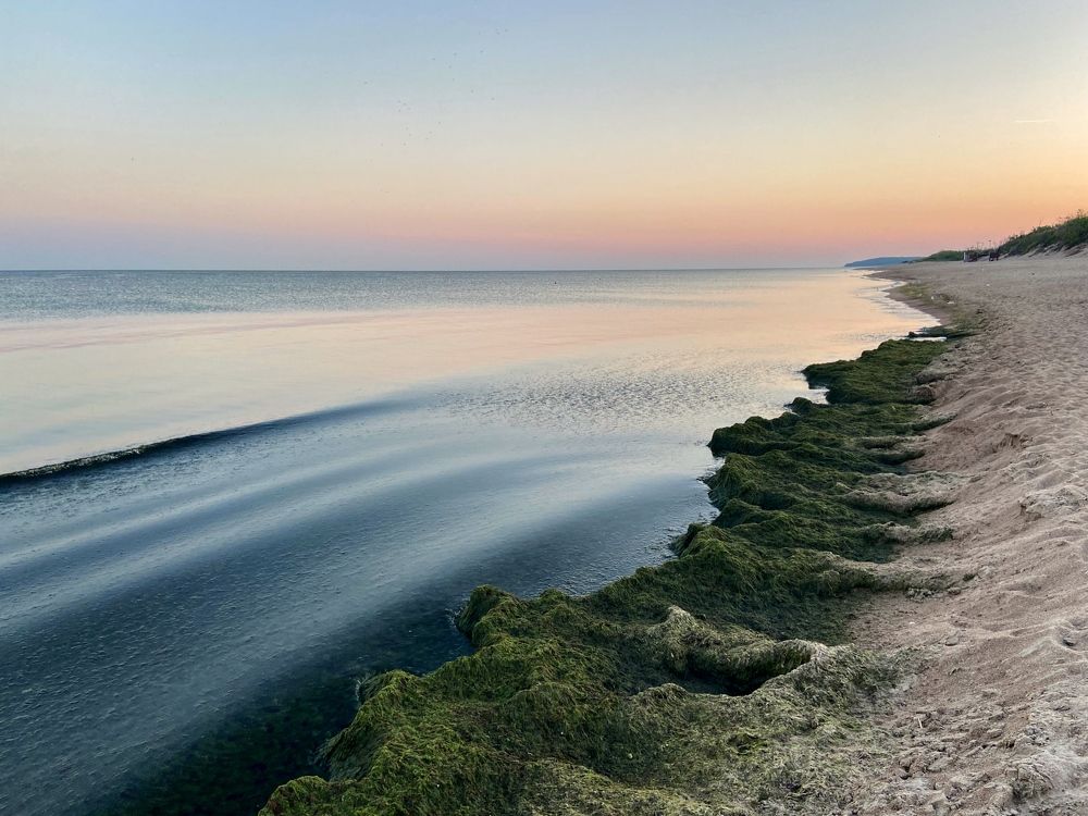 Photograph by Galina Baranovskaja