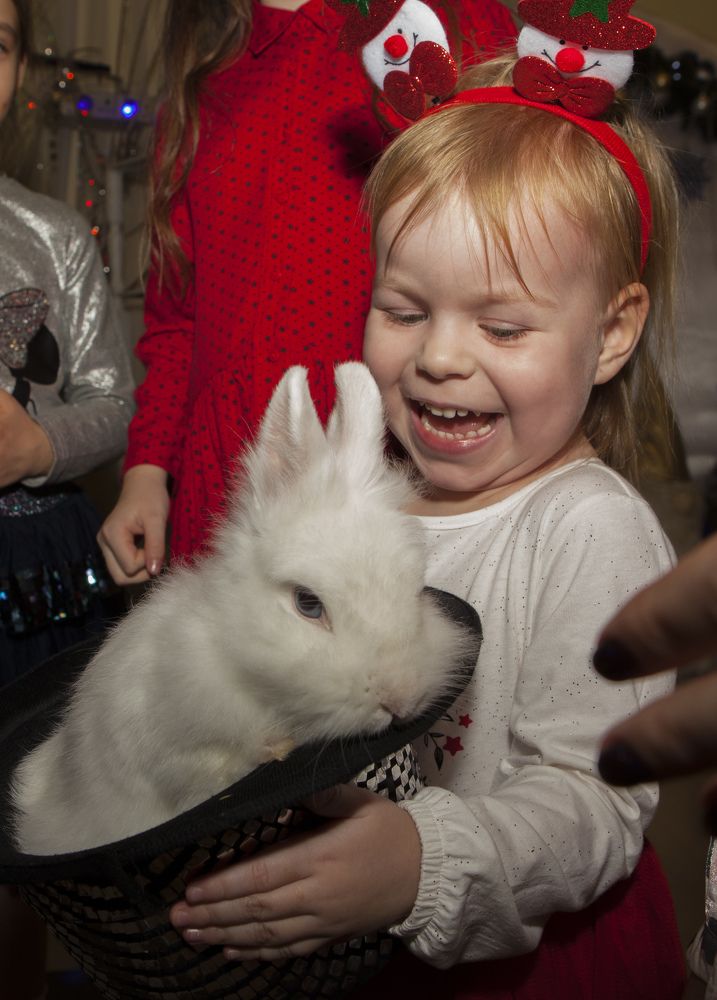 Фотография автора Ольга Малкова
