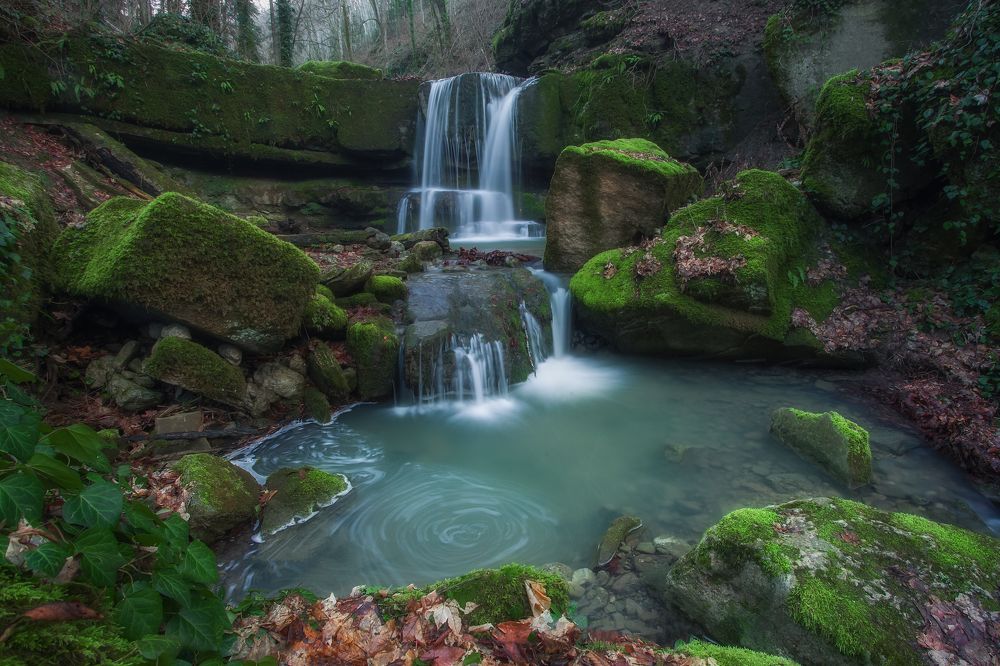 Фотография автора Екатерина Дмитренко