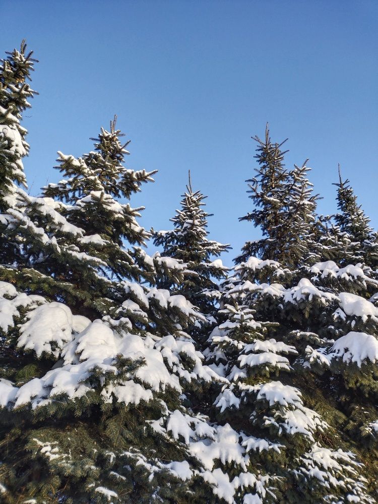 Photograph by Саманта Начкебия