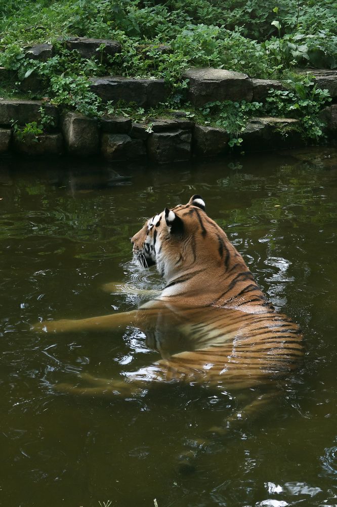 Photograph by Sergejs Barkans