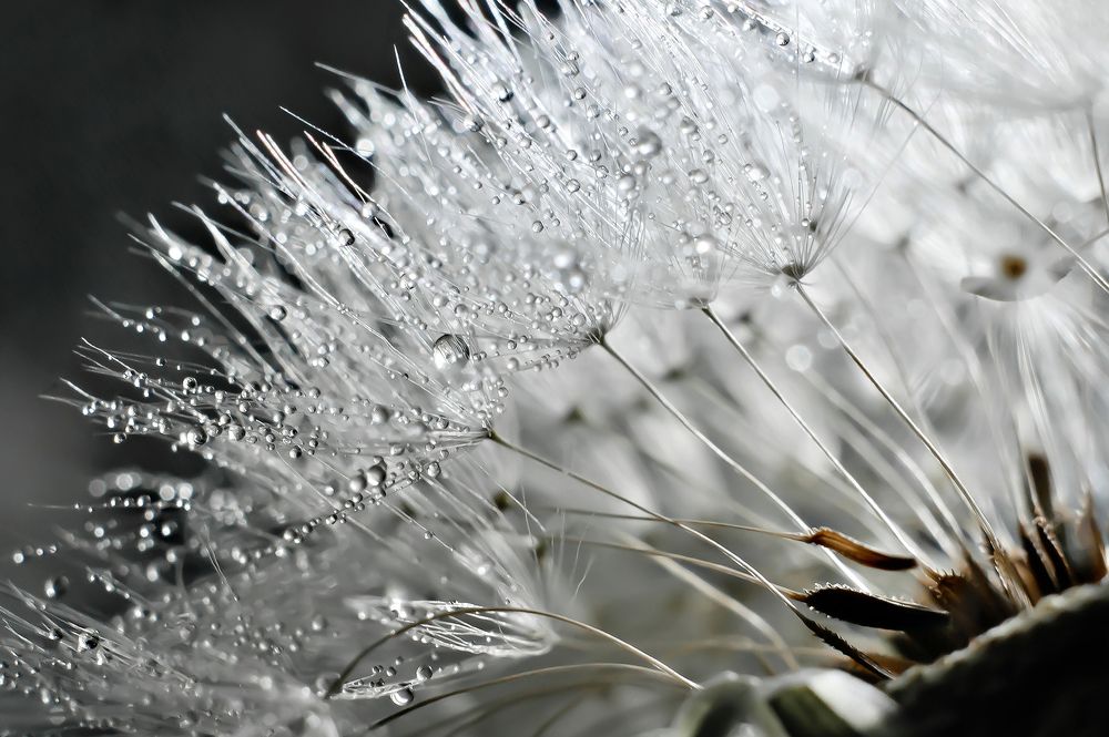 Photograph by Ирина Авельви