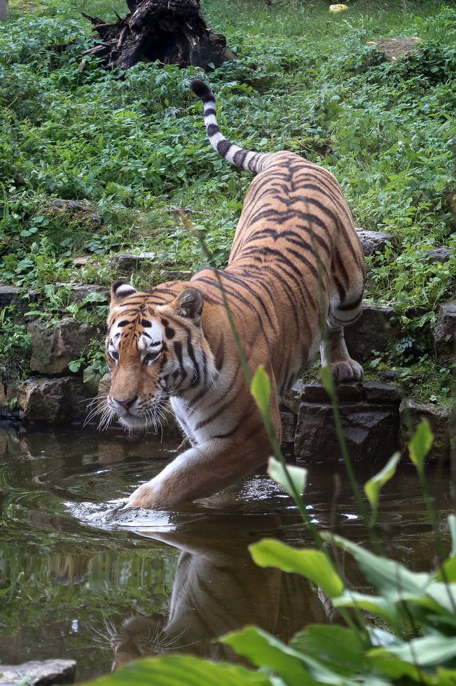 Photograph by Sergejs Barkans