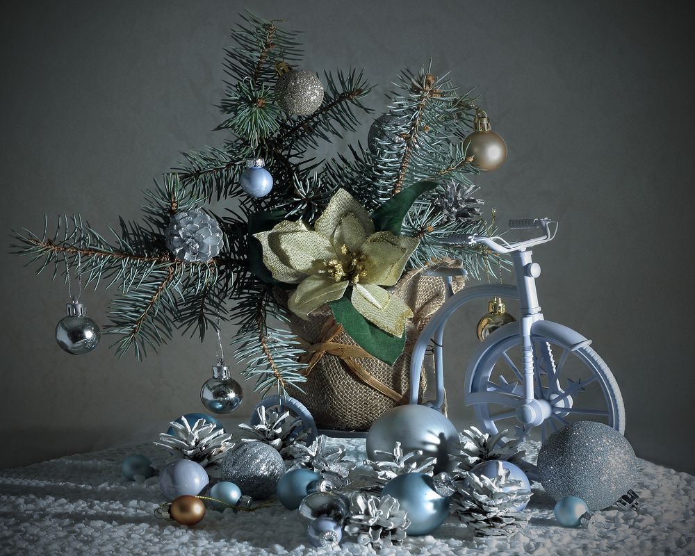 Photograph by Ольга Заболотская