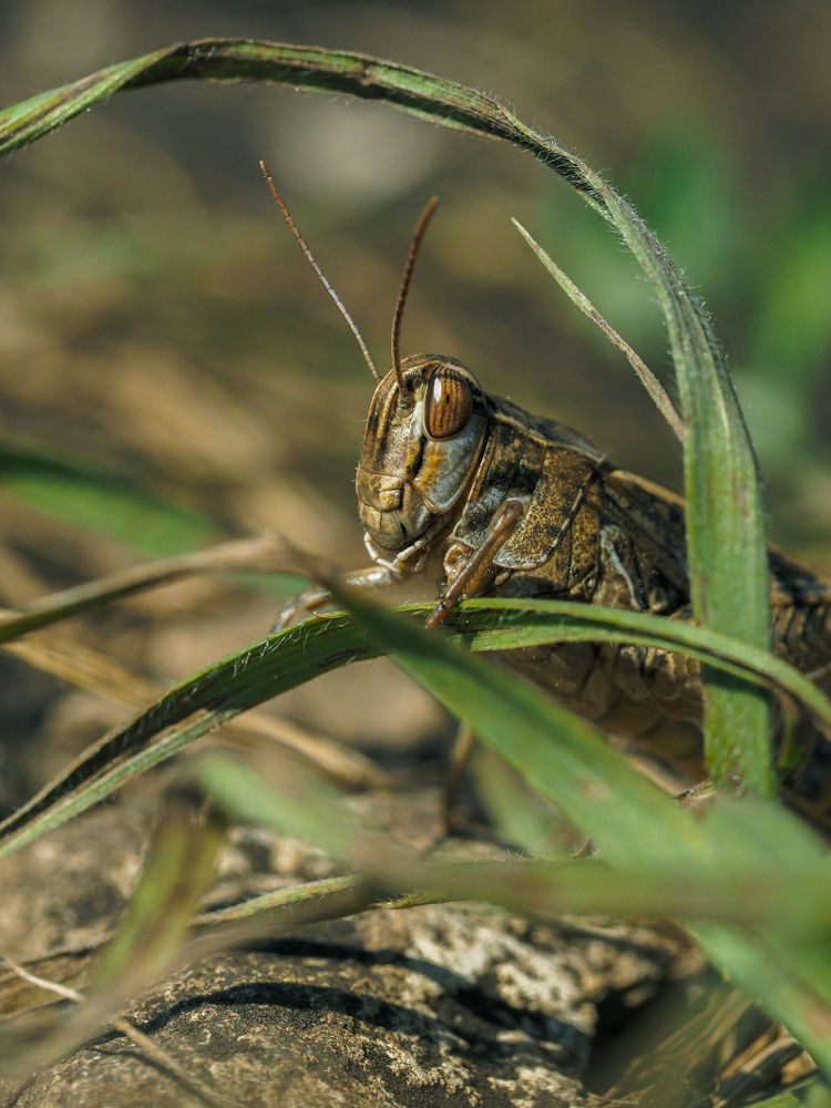 Photograph by Лейла Прощина