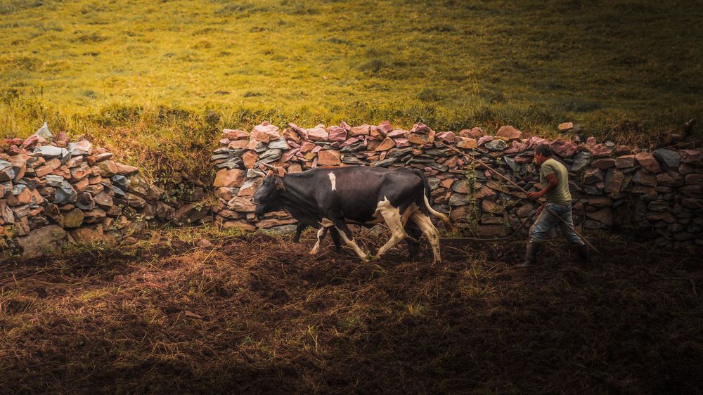 Фотография автора Carlos Jimenez