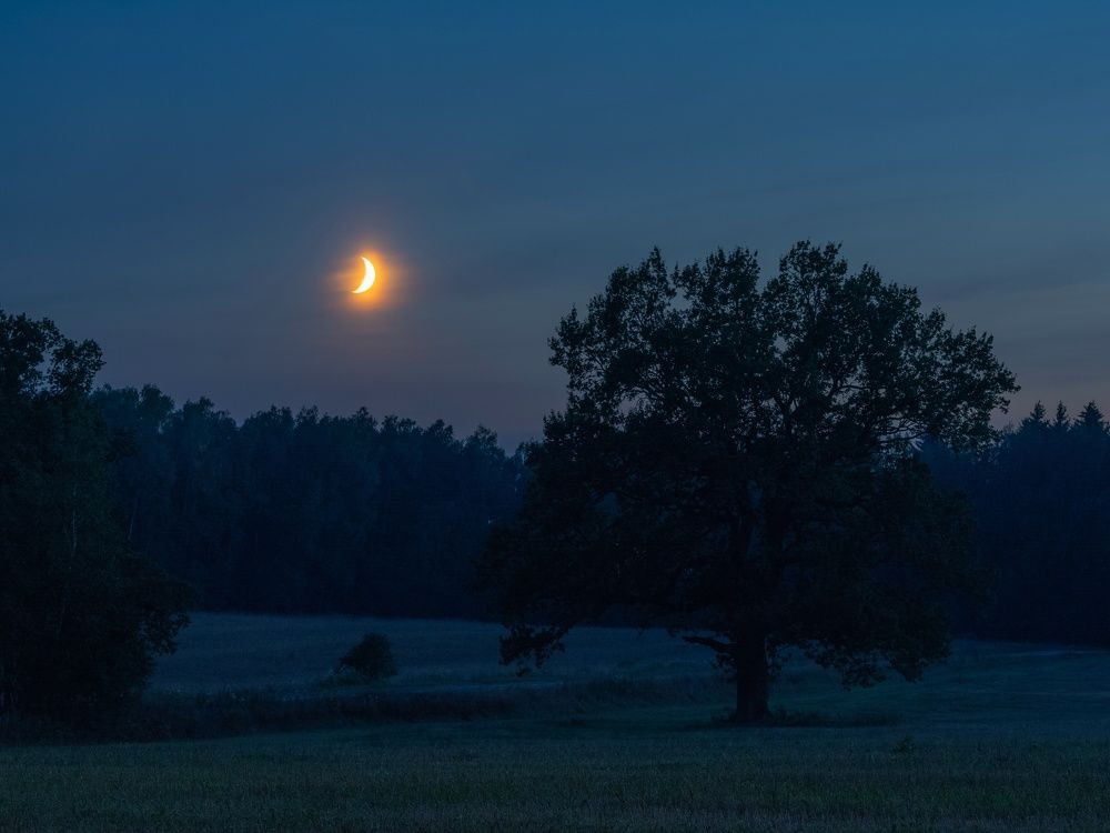 Photograph by Андрей Врубель