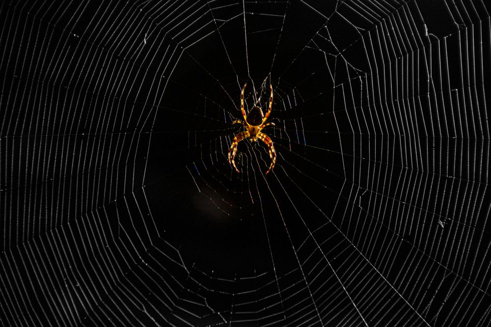 Photograph by Александр Парамонов