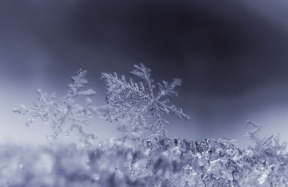Фотография автора Андрей Врубель