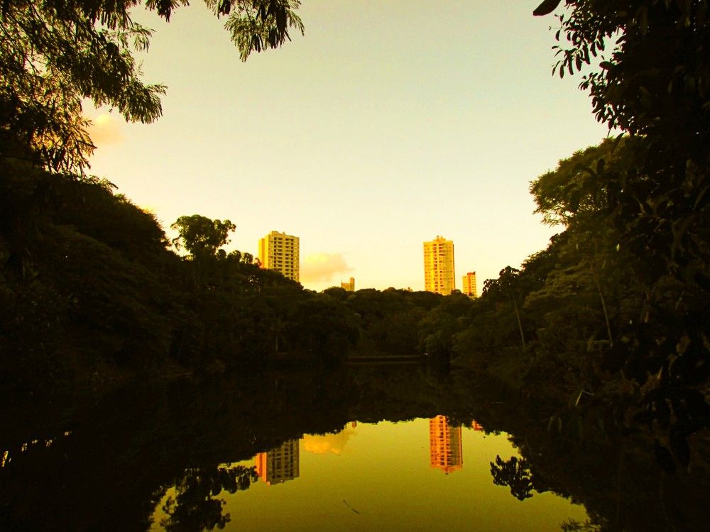 EDIFÍCIOS NA ÁGUA E O CÉU REFLETIDO