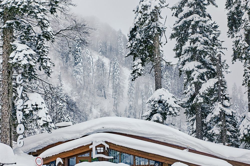 Фотография автора Екатерина Мишкель