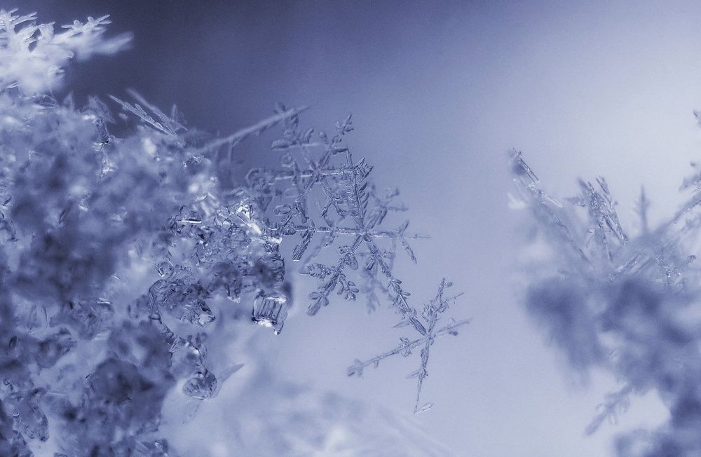 Фотография автора Андрей Врубель