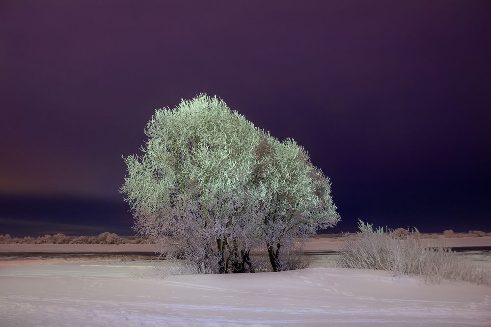 Photograph by Александр Парамонов