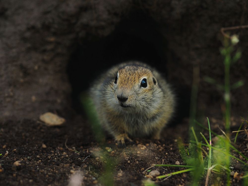 Photograph by Лейла Прощина