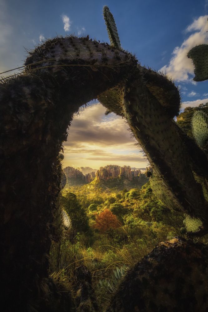 Фотография автора Felipe Heli Pérez Almonte