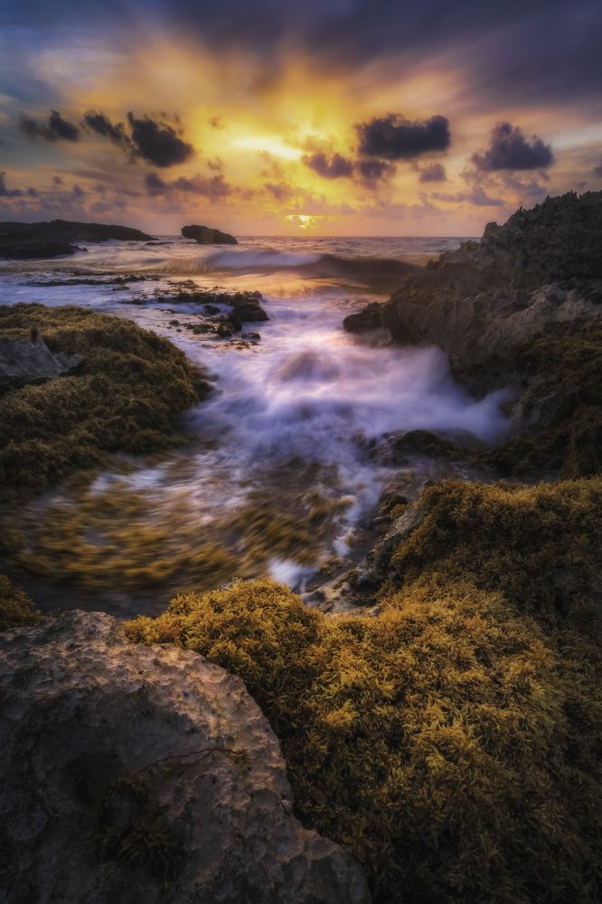 Фотография автора Felipe Heli Pérez Almonte