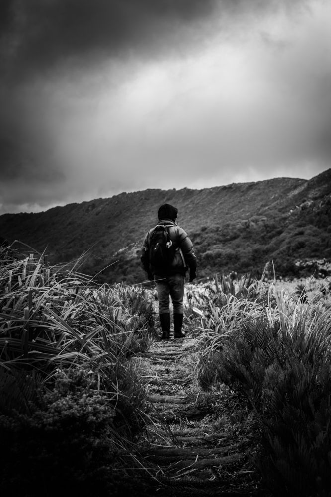 Фотография автора Carlos Jimenez