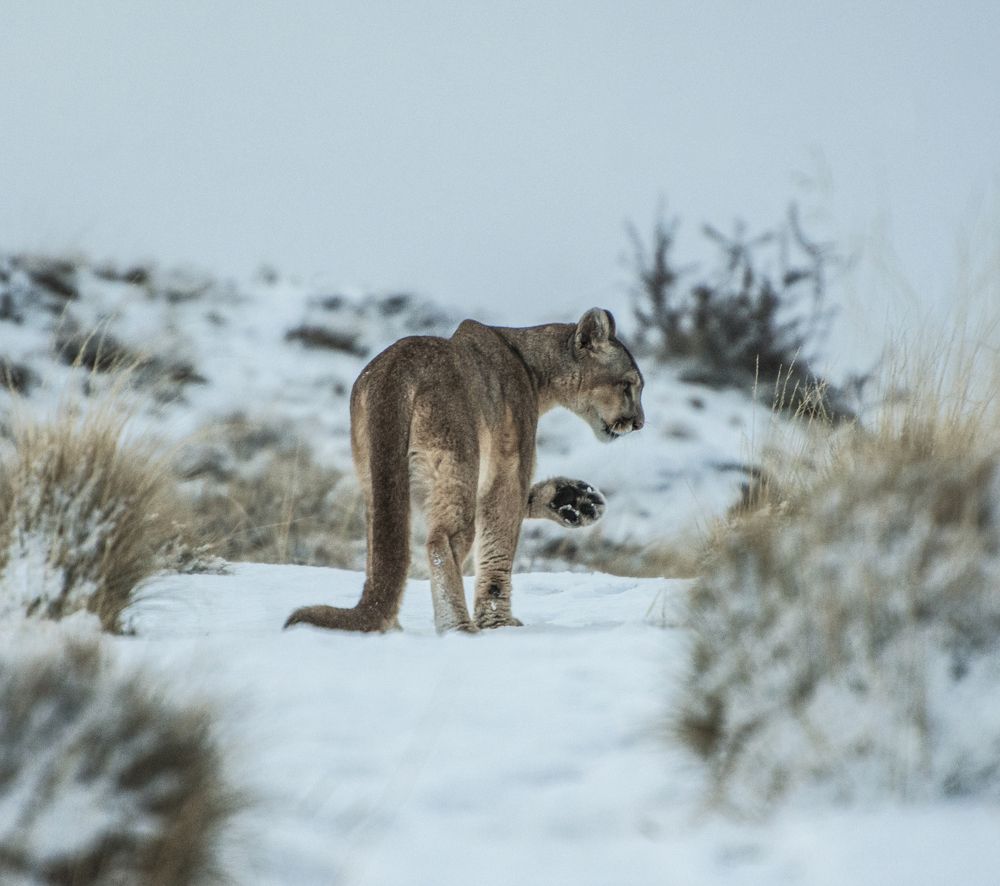 Photograph by Rodrigo Villar