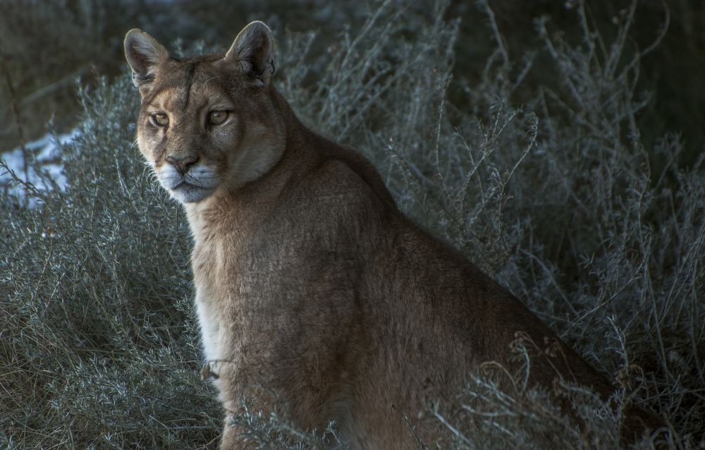 Photograph by Rodrigo Villar