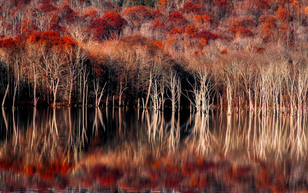 Photograph by Mike Paulhamus