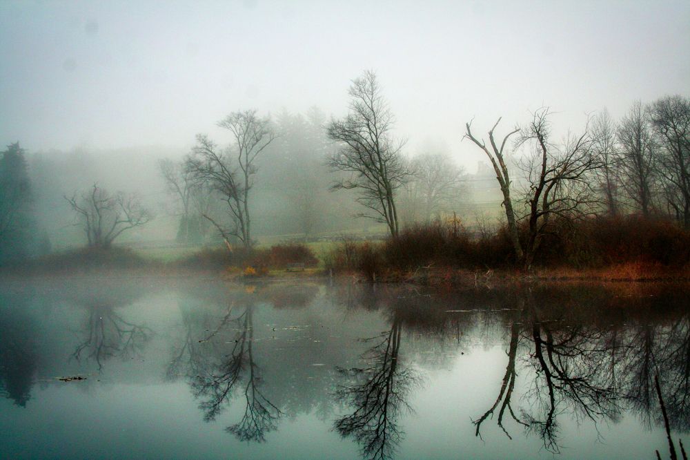 Photograph by Mike Paulhamus