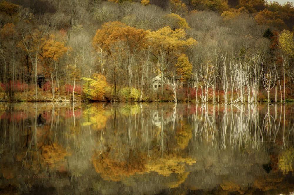 Photograph by Mike Paulhamus