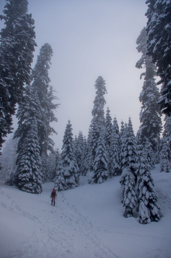 Фотография автора Ольга