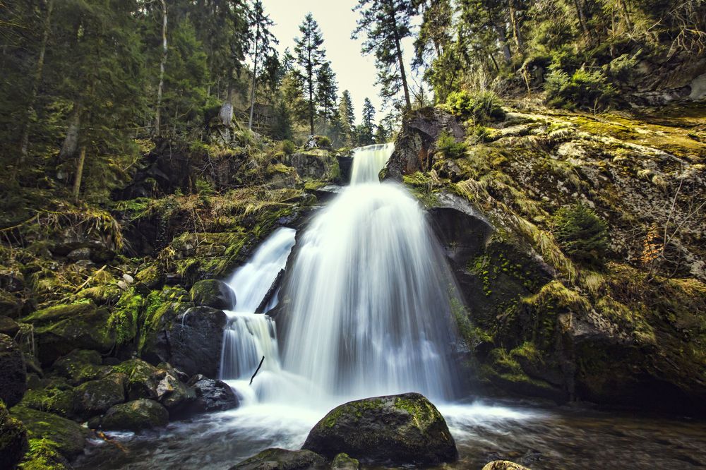 Photograph by Nitzan Gur