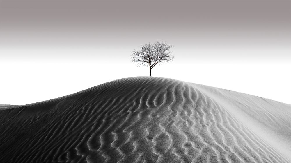 Photograph by Arlen Keshishian