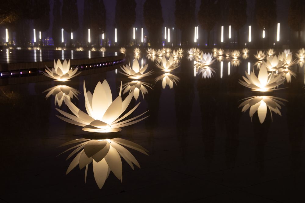 Фотография автора Ольга