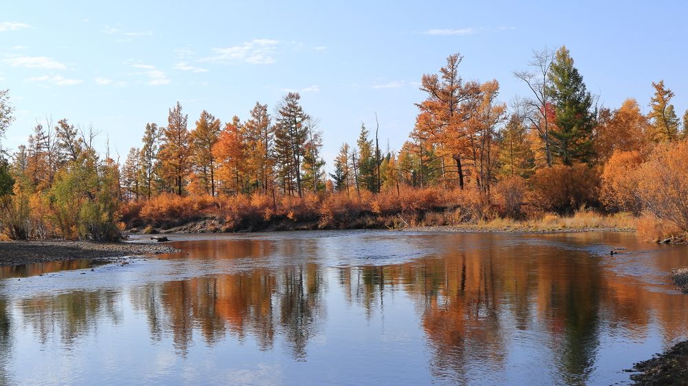 Осень золотая