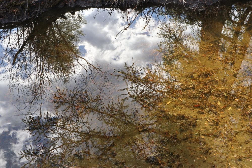 Весеннее небо.