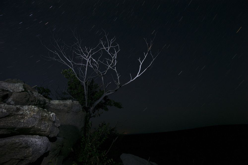 Под звездным дождем.
