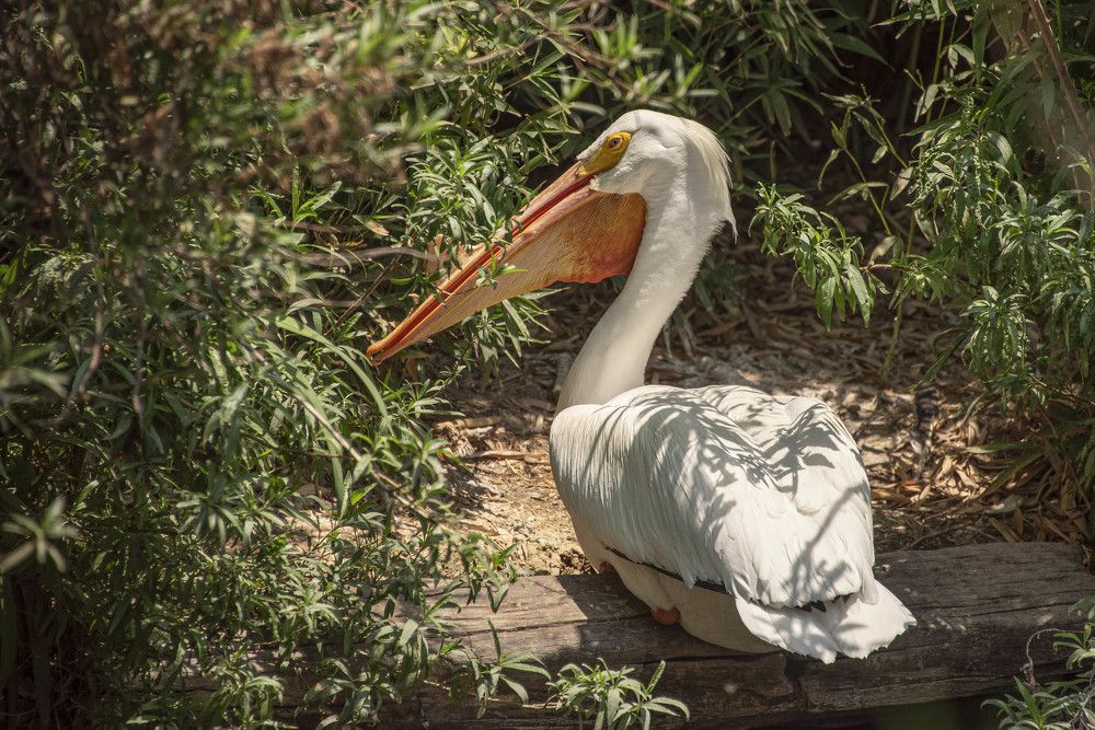 Photograph by Aлена Плясова