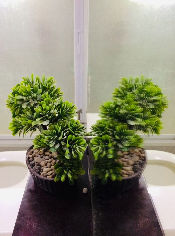 Фотография автора Russell Bañaria