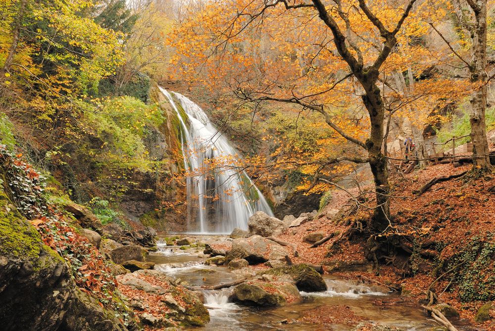 Photograph by Ольга