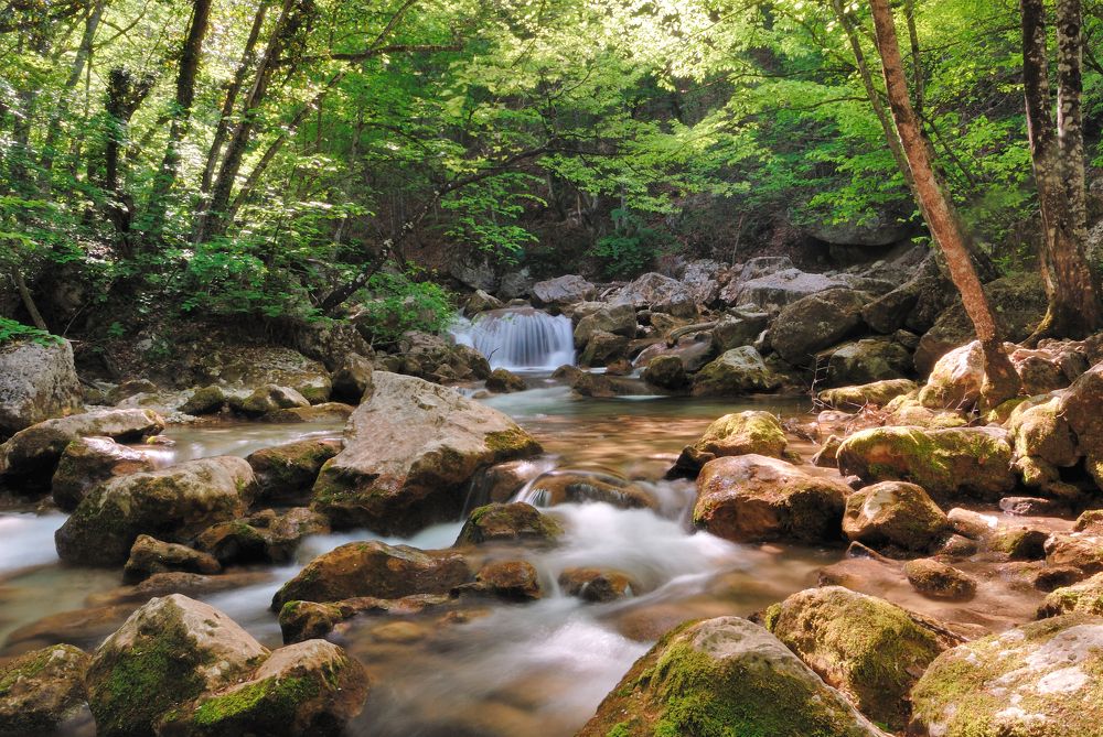 Утренняя свежесть.