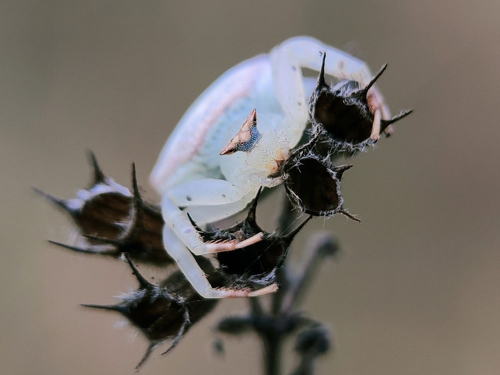 Photograph by Saurav Gupta