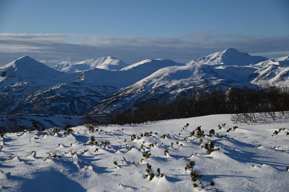 Фотография автора Ирина Копылова